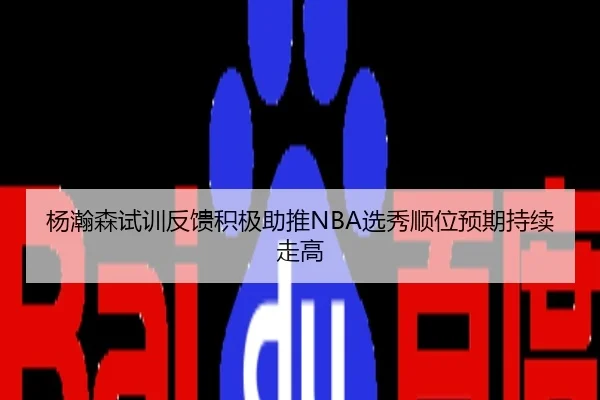 杨瀚森试训反馈积极助推NBA选秀顺位预期持续走高