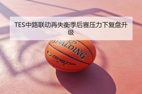 TES中路联动再失衡季后赛压力下复盘升级